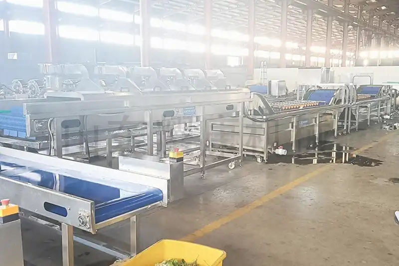 Vegetable washing line